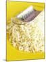 Grated Cheese with Grater on Yellow Plate-Dave King-Mounted Photographic Print
