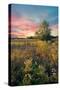 Grateful for the Day-John Rivera-Stretched Canvas