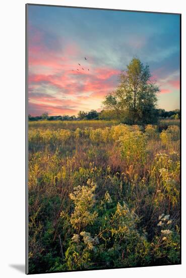 Grateful for the Day-John Rivera-Mounted Photographic Print