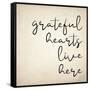 Grateful Hearts-Kimberly Allen-Framed Stretched Canvas