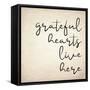 Grateful Hearts-Kimberly Allen-Framed Stretched Canvas