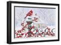 Black Frame