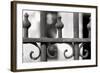 Grating-Mindy Sommers-Framed Giclee Print