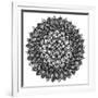 Gratitude Mandala-Nicky Kumar-Framed Giclee Print