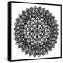 Gratitude Mandala-Nicky Kumar-Framed Stretched Canvas