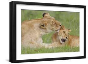 Gratitude-Susann Parker-Framed Photographic Print