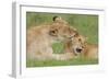 Gratitude-Susann Parker-Framed Photographic Print