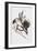Grattarsi-Mark Adlington-Framed Premium Giclee Print
