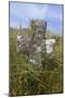 Grave Cross in Sea Dunes at Church of St. Tanwg-null-Mounted Photographic Print