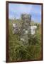 Grave Cross in Sea Dunes at Church of St. Tanwg-null-Framed Photographic Print