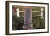 Grave of Mormon Trail Pioneer Rebecca Winters, Who Died of Cholera in Nebraska in 1852-null-Framed Photographic Print