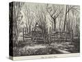 Stretched Canvas