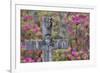 Grave stones and springtime bloom of azaleas in a Cemetery, Savannah, Georgia-Darrell Gulin-Framed Premium Photographic Print