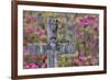 Grave stones and springtime bloom of azaleas in a Cemetery, Savannah, Georgia-Darrell Gulin-Framed Premium Photographic Print