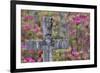 Grave stones and springtime bloom of azaleas in a Cemetery, Savannah, Georgia-Darrell Gulin-Framed Premium Photographic Print