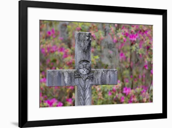 Grave stones and springtime bloom of azaleas in a Cemetery, Savannah, Georgia-Darrell Gulin-Framed Premium Photographic Print