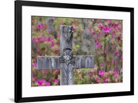 Grave stones and springtime bloom of azaleas in a Cemetery, Savannah, Georgia-Darrell Gulin-Framed Premium Photographic Print