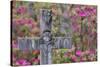 Grave stones and springtime bloom of azaleas in a Cemetery, Savannah, Georgia-Darrell Gulin-Stretched Canvas