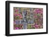 Grave stones and springtime bloom of azaleas in a Cemetery, Savannah, Georgia-Darrell Gulin-Framed Photographic Print