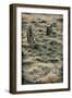 Grave Stones-Tim Kahane-Framed Photographic Print