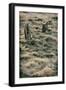 Grave Stones-Tim Kahane-Framed Photographic Print