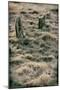 Grave Stones-Tim Kahane-Mounted Photographic Print