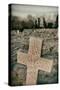 Grave Stones-Tim Kahane-Stretched Canvas