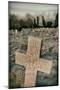 Grave Stones-Tim Kahane-Mounted Photographic Print