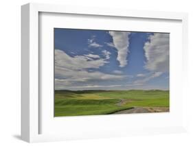 Gravel dirt road running through rolling hills planted in wheat, Eastern Washington-Darrell Gulin-Framed Photographic Print