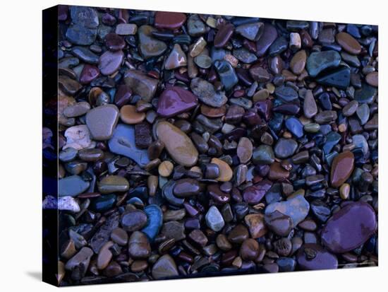 Gravel in Mountain Creek, Montana, USA-Jerry Ginsberg-Stretched Canvas