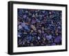 Gravel in Mountain Creek, Montana, USA-Jerry Ginsberg-Framed Photographic Print