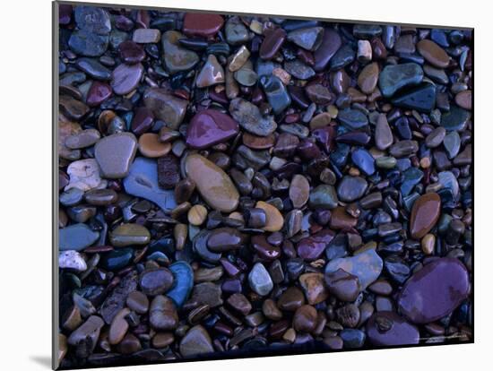 Gravel in Mountain Creek, Montana, USA-Jerry Ginsberg-Mounted Photographic Print