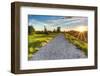 Gravel Path with Setting Sun Star-JamesWheeler-Framed Photographic Print