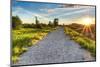 Gravel Path with Setting Sun Star-JamesWheeler-Mounted Photographic Print