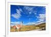 Gravel Road between the Mountains and Trusting Guanaco -  Small Camel. National Park Torres Del Pai-kavram-Framed Photographic Print