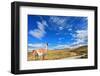 Gravel Road between the Mountains and Trusting Guanaco -  Small Camel. National Park Torres Del Pai-kavram-Framed Photographic Print