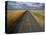 Gravel Road Passing Through Wheat Field-Darrell Gulin-Stretched Canvas