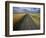 Gravel Road Passing Through Wheat Field-Darrell Gulin-Framed Photographic Print