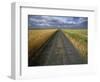 Gravel Road Passing Through Wheat Field-Darrell Gulin-Framed Photographic Print