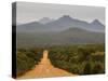 Gravel Road, Stirling Range, Stirling Range National Park, Western Australia, Australia, Pacific-Jochen Schlenker-Stretched Canvas