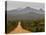 Gravel Road, Stirling Range, Stirling Range National Park, Western Australia, Australia, Pacific-Jochen Schlenker-Stretched Canvas