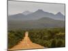 Gravel Road, Stirling Range, Stirling Range National Park, Western Australia, Australia, Pacific-Jochen Schlenker-Mounted Photographic Print