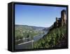 Gravenburg Castle, River Mosel, Rhineland Palatinate, Germany-Oliviero Olivieri-Framed Stretched Canvas