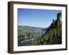 Gravenburg Castle, River Mosel, Rhineland Palatinate, Germany-Oliviero Olivieri-Framed Photographic Print