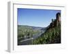 Gravenburg Castle, River Mosel, Rhineland Palatinate, Germany-Oliviero Olivieri-Framed Photographic Print