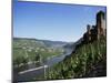 Gravenburg Castle, River Mosel, Rhineland Palatinate, Germany-Oliviero Olivieri-Mounted Photographic Print