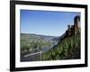 Gravenburg Castle, River Mosel, Rhineland Palatinate, Germany-Oliviero Olivieri-Framed Photographic Print