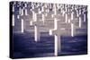 Graves at the American Cemetery, Omaha Beach, Colleville-Sur-Mer, Normandy, France-Russ Bishop-Stretched Canvas