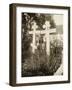 Graves in the Cemetery of the Novodevichy (New Maidens) Convent, Moscow, Russia, 1929-null-Framed Photographic Print