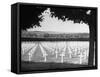 Graves of American Soldiers in France-null-Framed Stretched Canvas